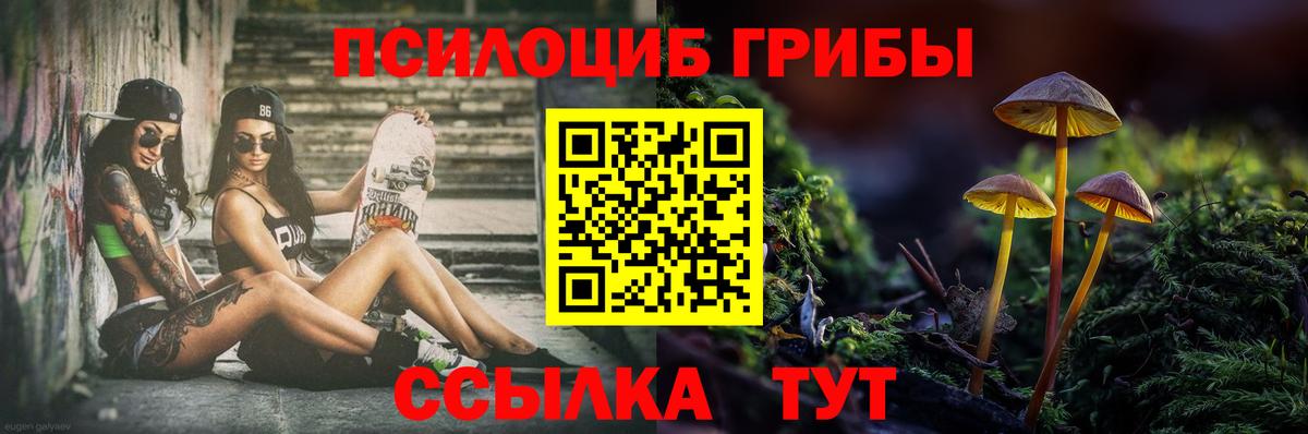 Галлюциногенные грибы GOLDEN TEACHER  Псилоцибиновые грибы Cubensis  Егорьевск  Вход с VPN 
